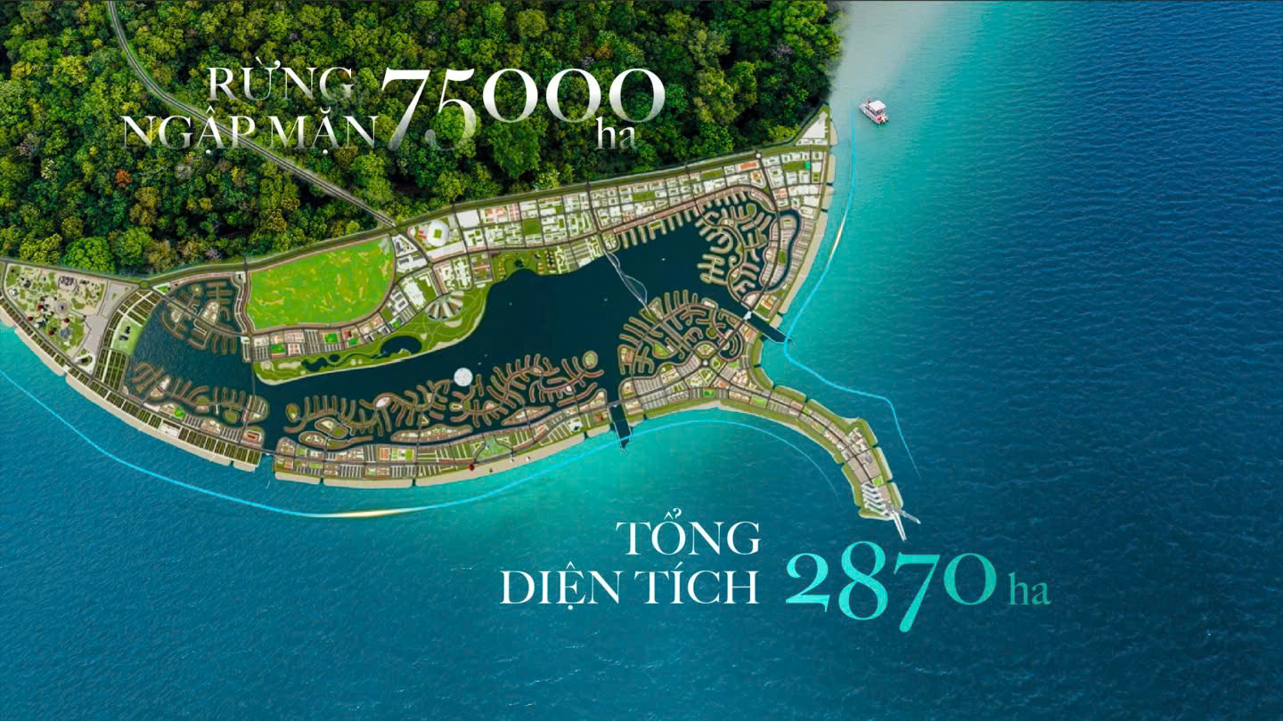 34616764 e4a1 4f33 92fd bb35995635cf