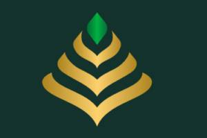 Chủ Đầu Tư Vinhomes Cần Giờ là ai?