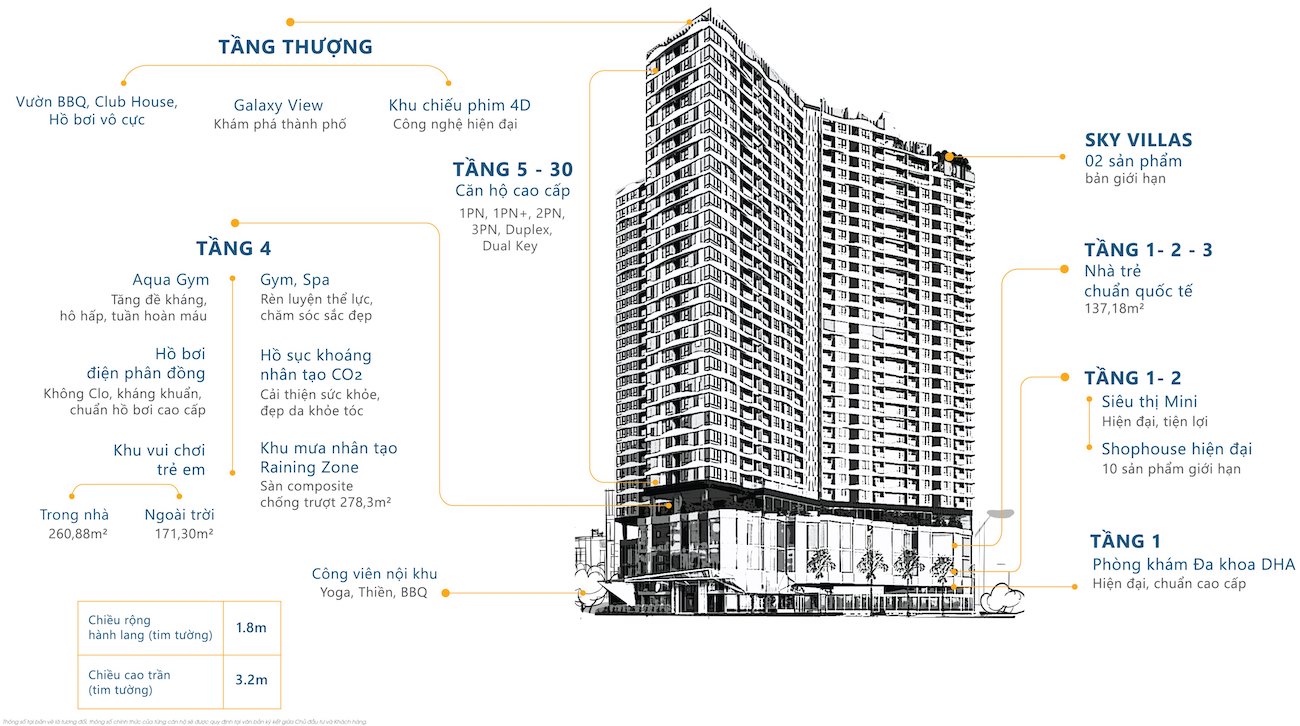 Mặt bằng chi tiết D Home Quận 6