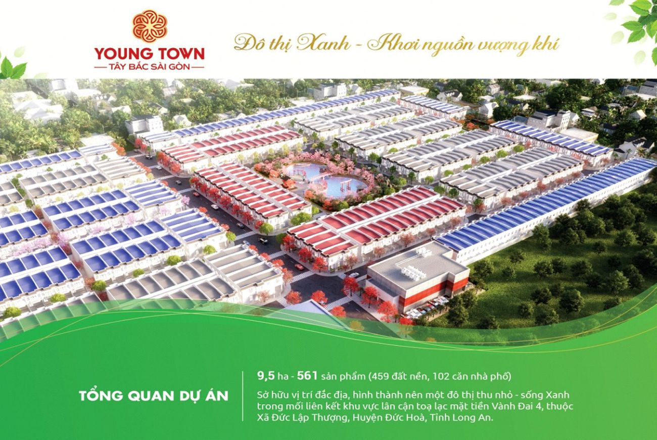 Thông tin chi tiết về Dự án Young Town Đức Hòa Long An