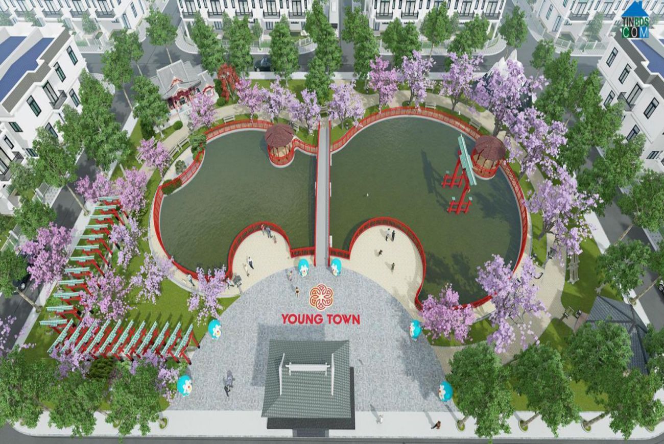 Thiết kế Young Town Đức Hòa Long An