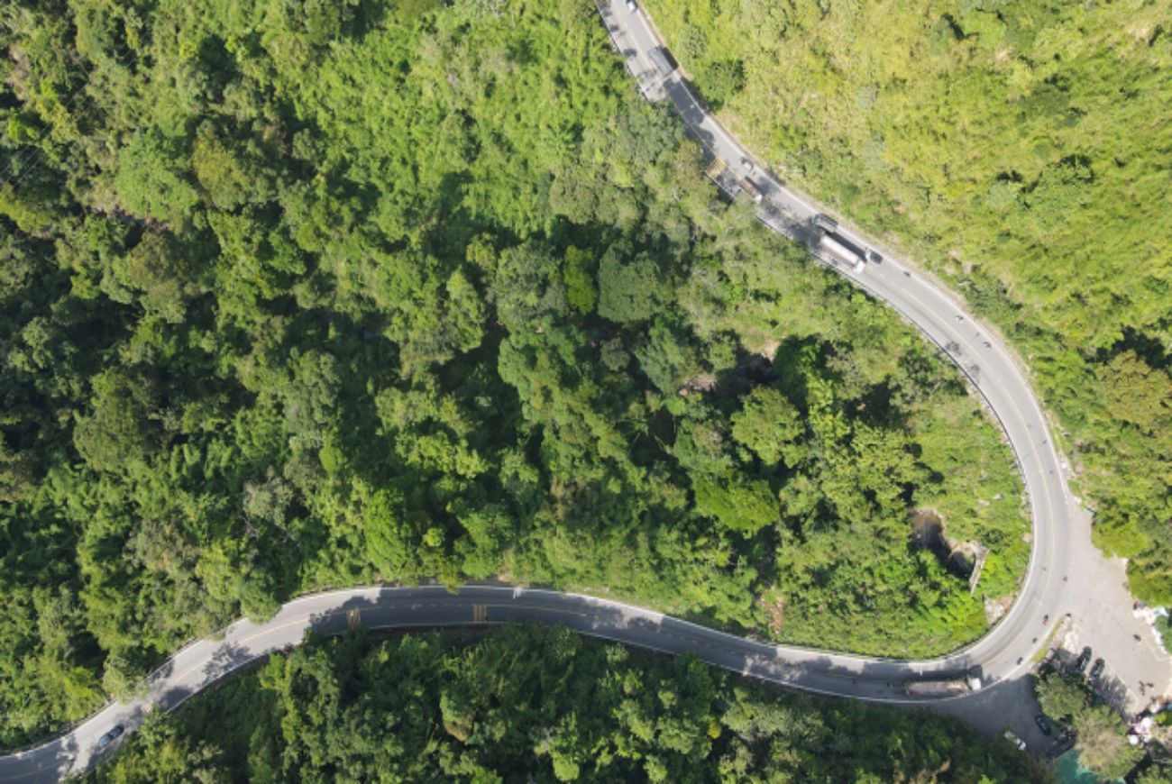 Rừng trên đèo Bảo Lộc hai bên quốc lộ 20