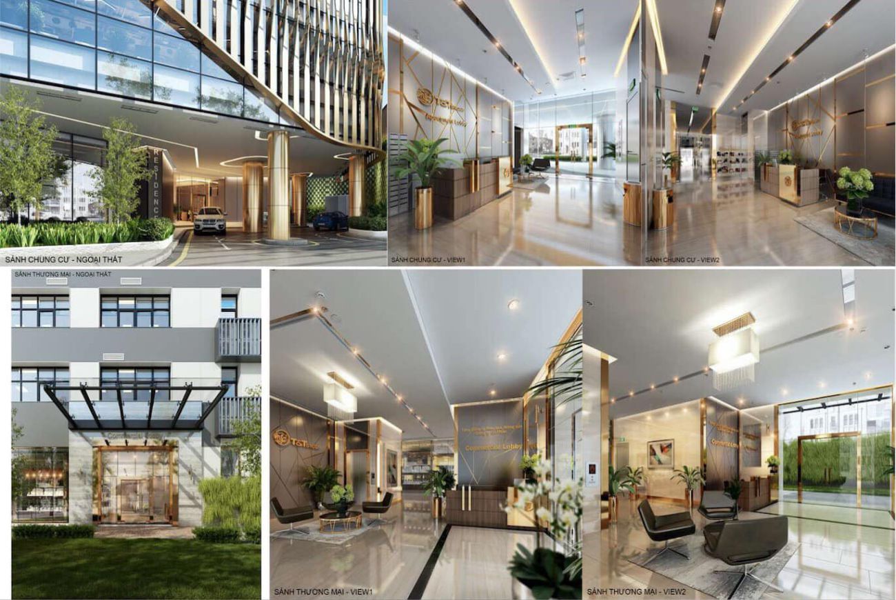 Thiết kế T&T Capella