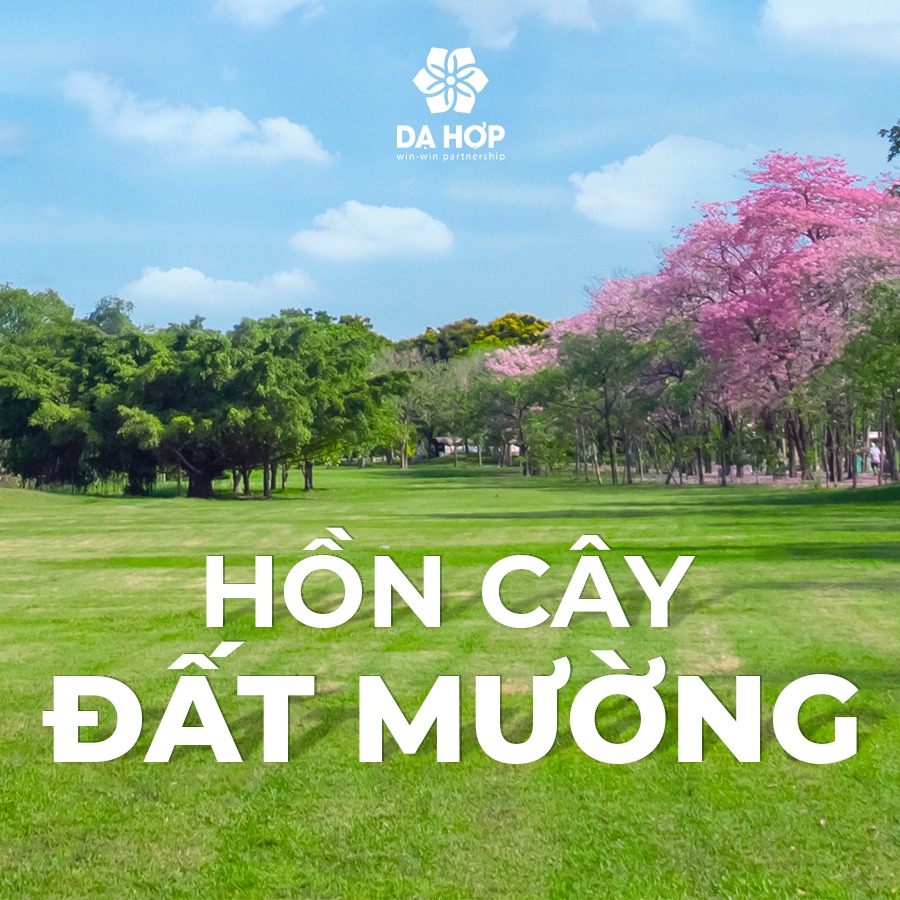 Tiện ích Mường Central Hòa Bình