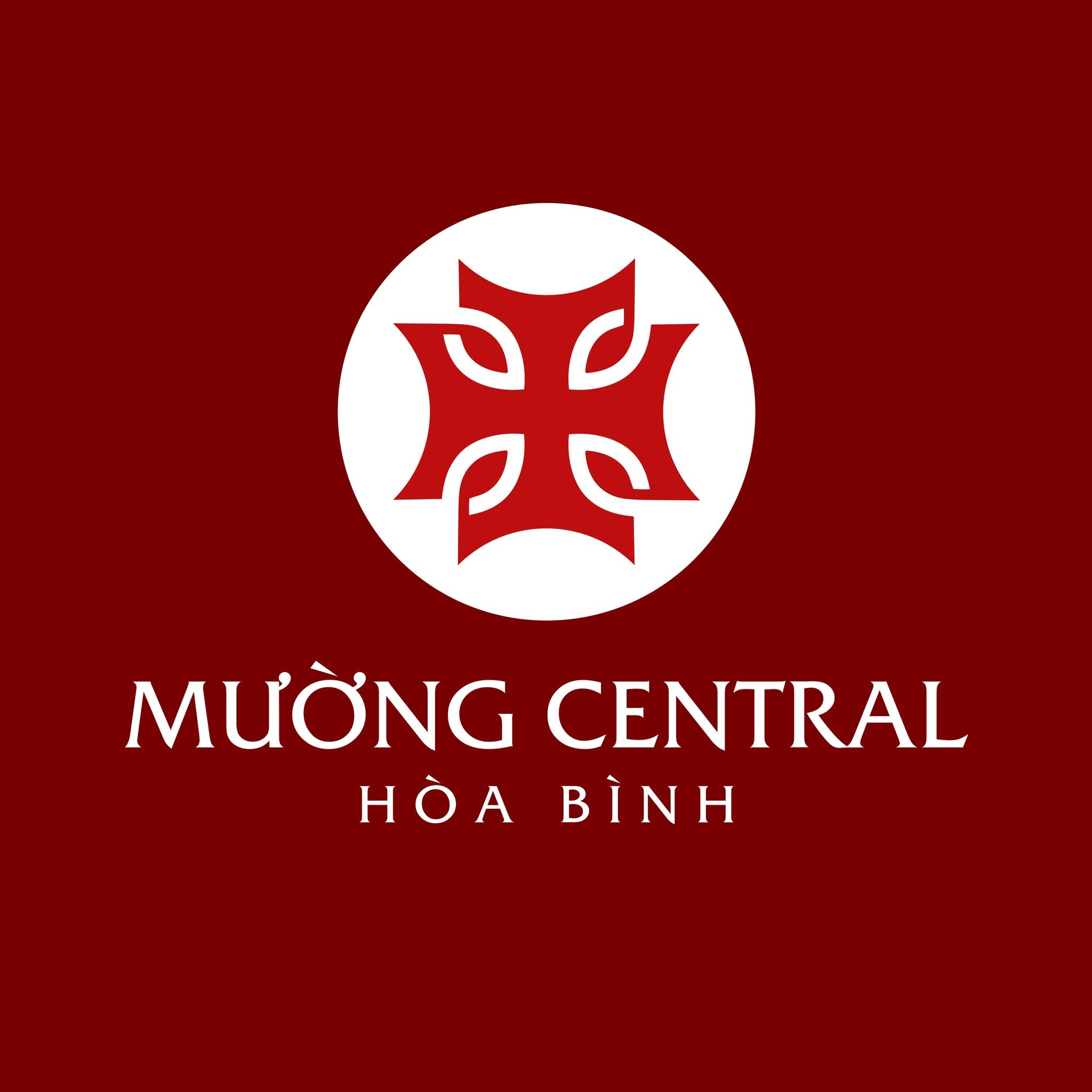 500062186 1041212044773001 666079482935558757 n