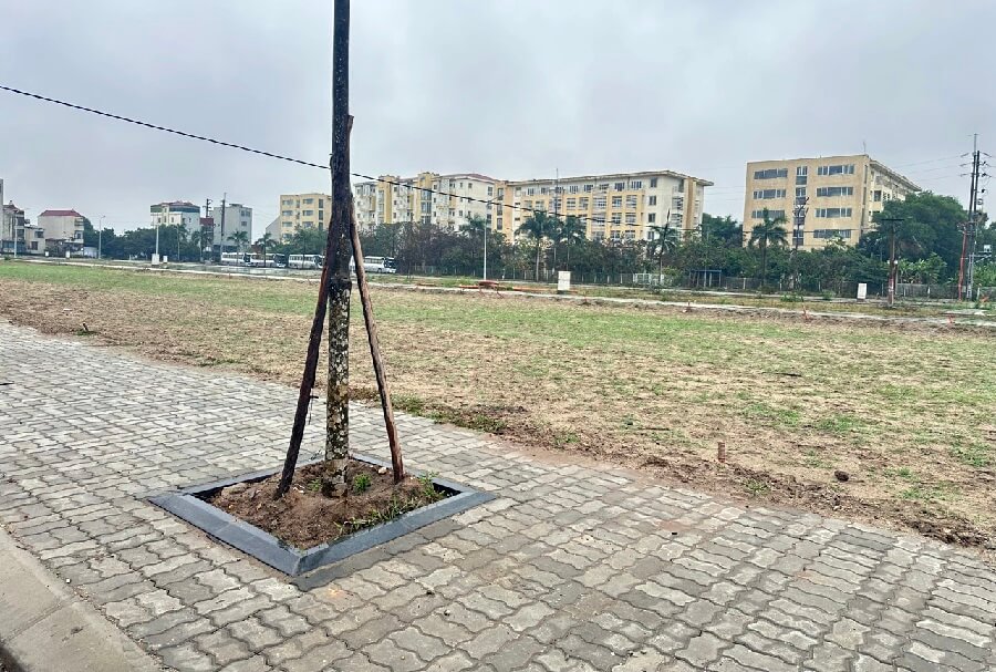 Tiến Độ Xây Dựng Dự án Vlasta Đông Yên Bắc Ninh